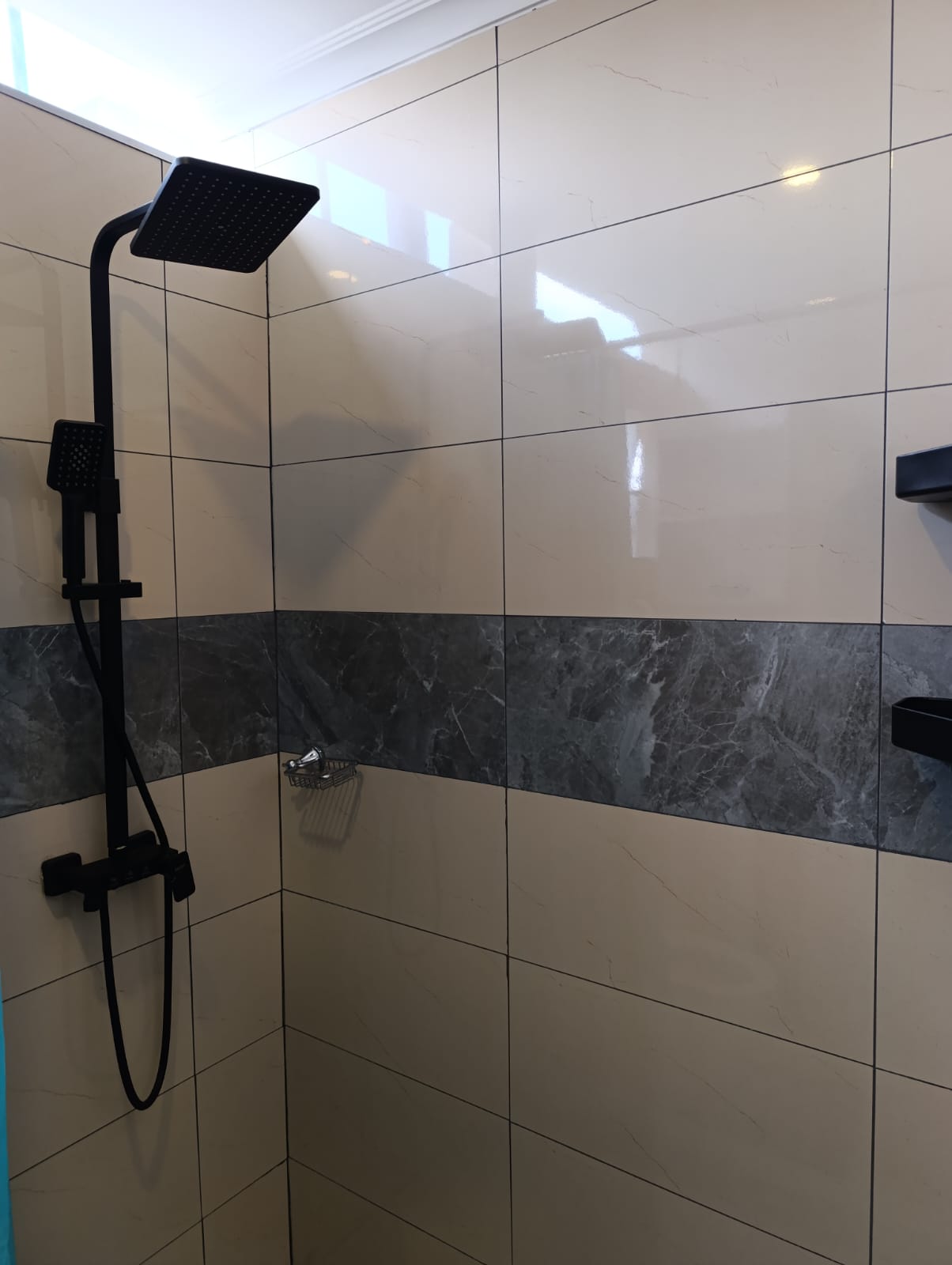 Guest bathroom shower